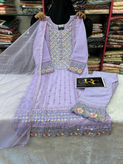 Pakistani Handwork Suit 474